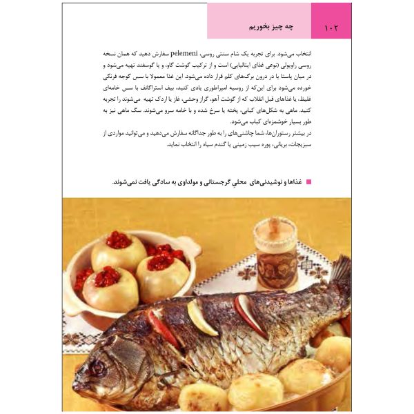 کتاب جیبی راهنمای سفر مسکو اثر وحیدرضا اخباری - تصویر 6